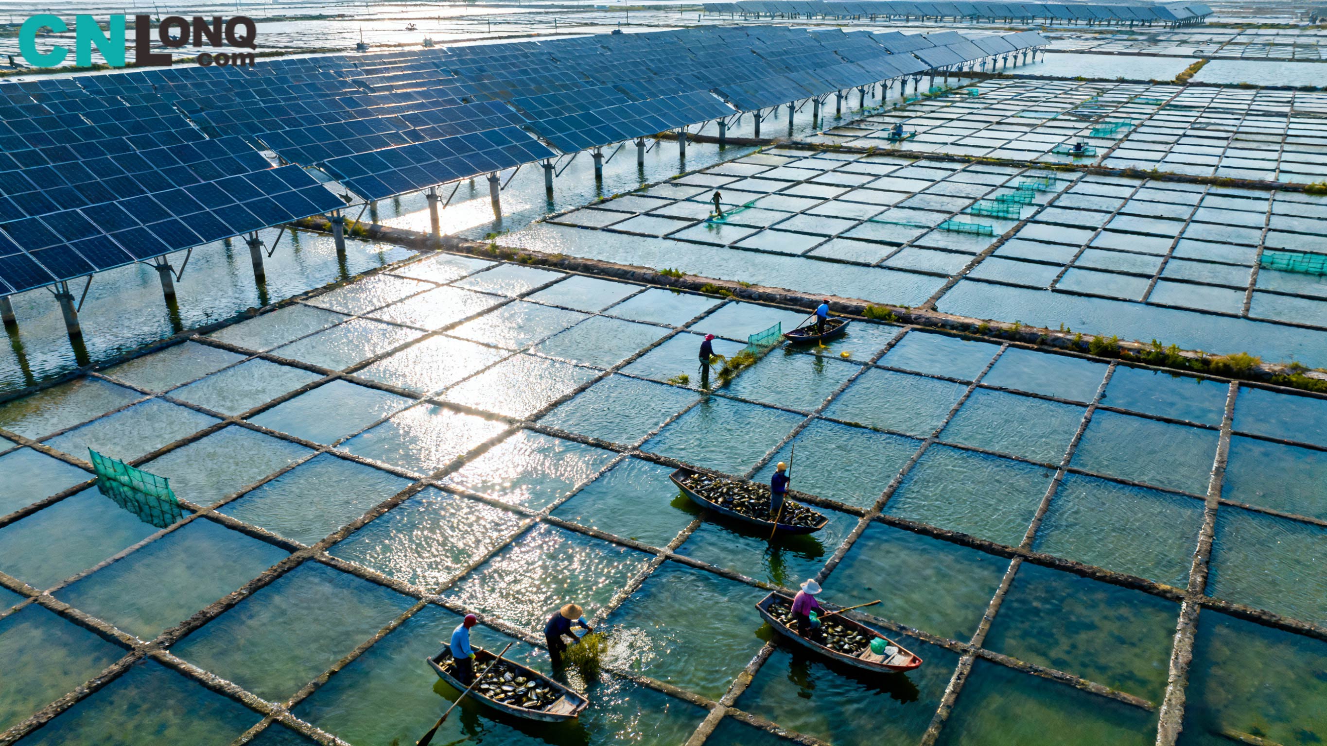 Total investering på RMB 1,2 milliarder! Xindao Qingkou Salt Field 250MW 